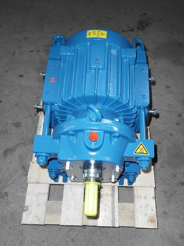 Eisele Drehkolpenpumpe DK 32 V