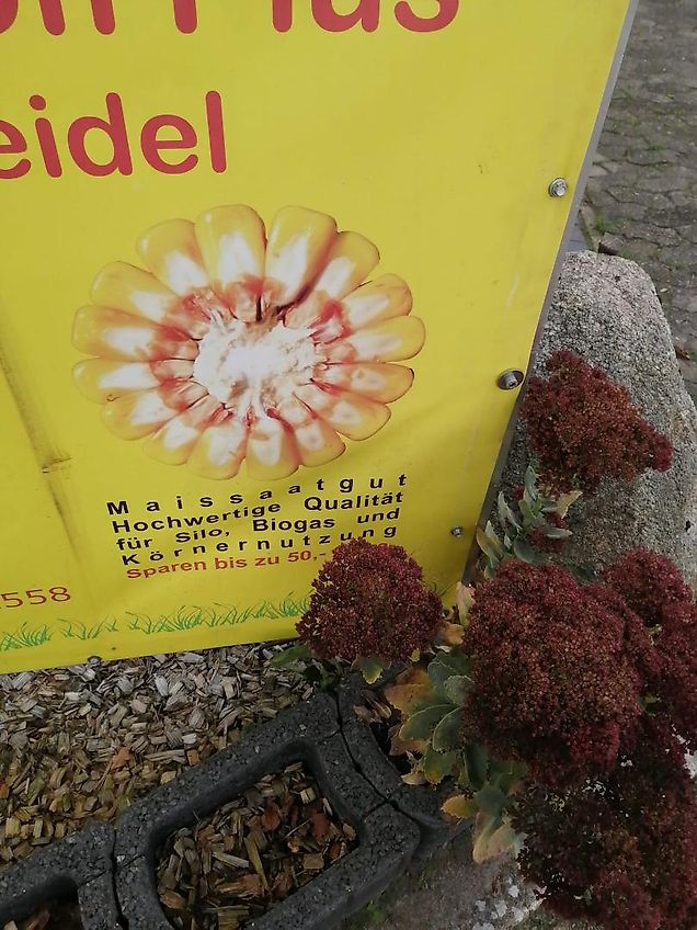 Howard HB 540 T Bodefräse 240cm Arbeitsbreite Howard Fräse mit 54 Winkelmesser 100%Optional mit Howard Vorbaugrubber Keine Maschio Kuhn Krone Celli Bodenfräse