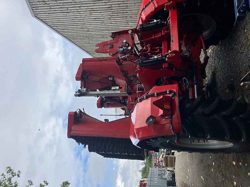 Asa-Lift Red Beet Topper