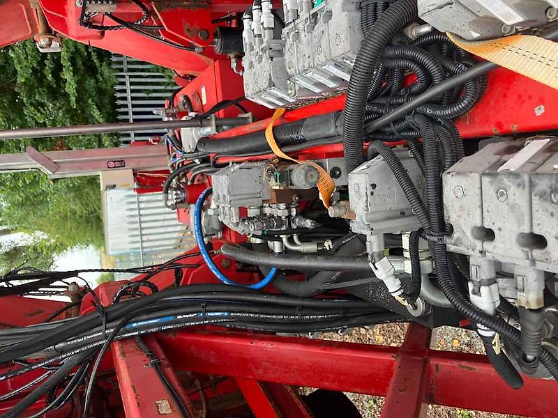 Asa-Lift Red Beet Topper