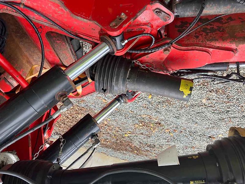 Asa-Lift Red Beet Topper