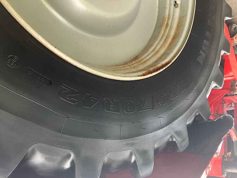 Asa-Lift Red Beet Topper