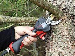 Infaco Electronic Secateurs/ Power Pruners