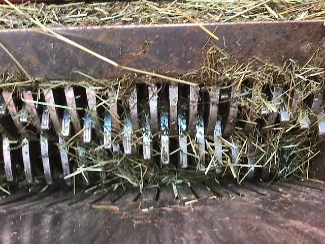 Schuitemaker rapide 155