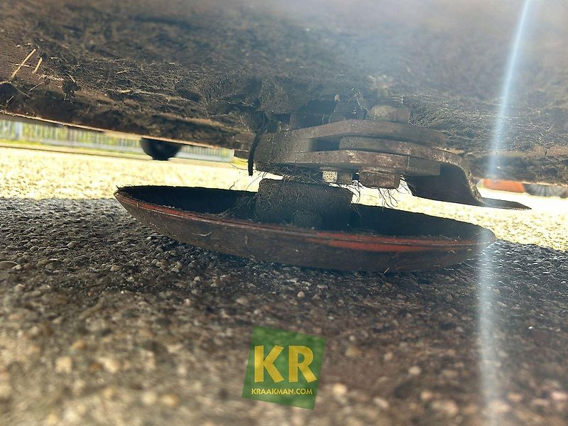 Giant palenmaaier #775371